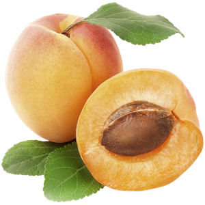 Apricot PNG-12653